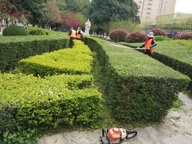 某某项目绿化工程管理制度范本