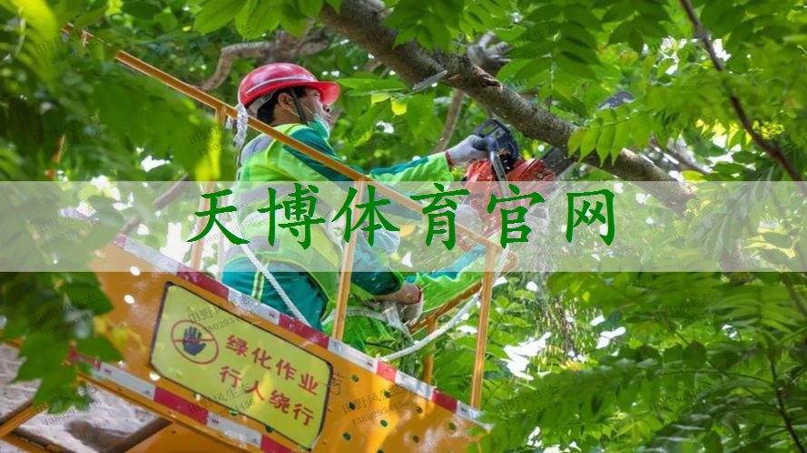 成都市政绿化资料要做哪些