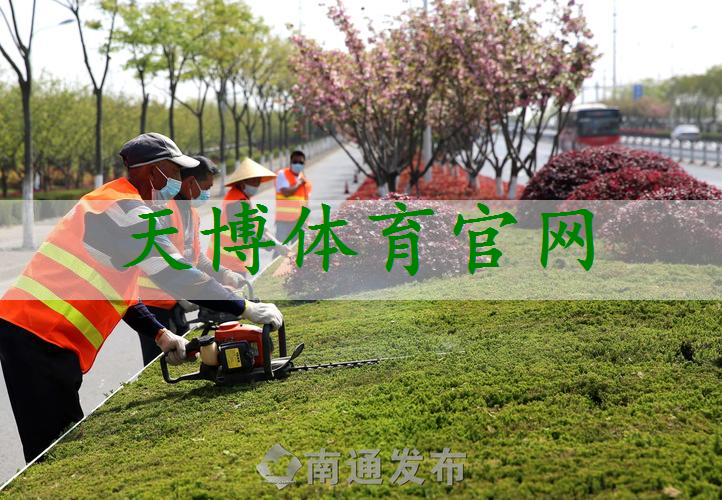 江山绿化工程收树